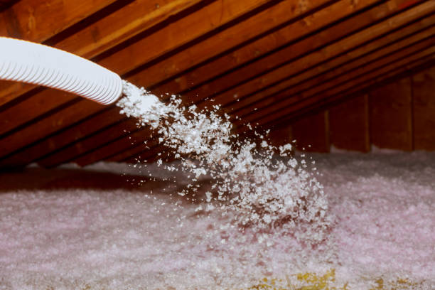 Best Wall Insulation Contractor  in Pine Knoll Shores, NC