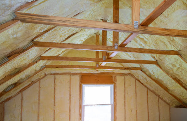 Best Attic Insulation Installation  in Pine Knoll Shores, NC