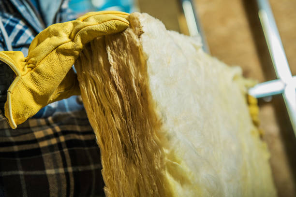 Best Insulation Removal  in Pine Knoll Shores, NC