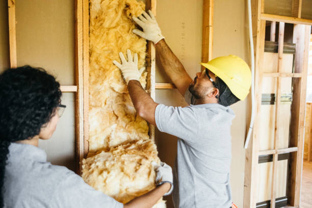 Best Cellulose Insulation  in Pine Knoll Shores, NC