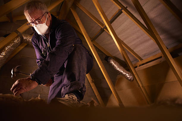 Best Home Insulation Services  in Pine Knoll Shores, NC