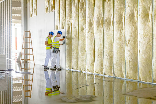 Best Commercial Insulation Contractor  in Pine Knoll Shores, NC